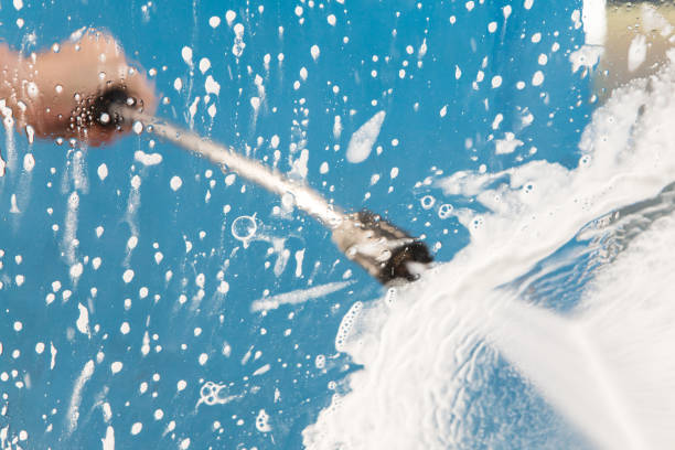Best Roof Cleaning and Mildew Removal in Eustace, TX