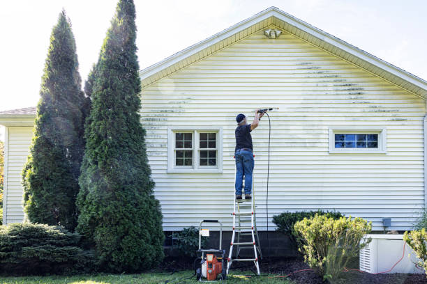 Best Vinyl Siding Pressure Washing in Eustace, TX